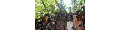 சுப்பிரமண்யா கோயில் - பேரளசேரி